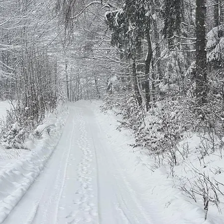 Hébergement de vacances Level780 Koszarawa