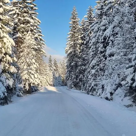 Level780 Nyaraló Koszarawa