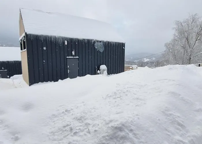 Level780 Holiday home Koszarawa