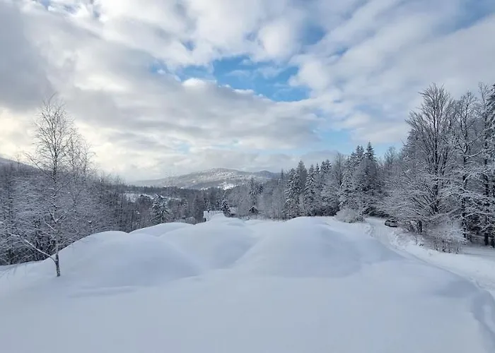 Level780 Holiday home *