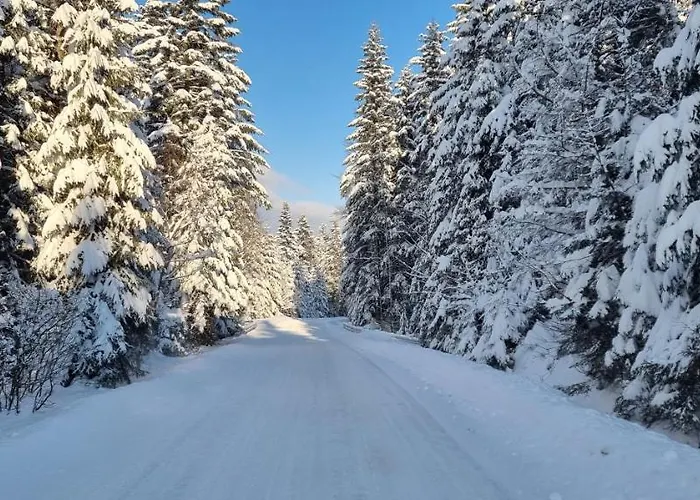 Level780 Holiday home Koszarawa