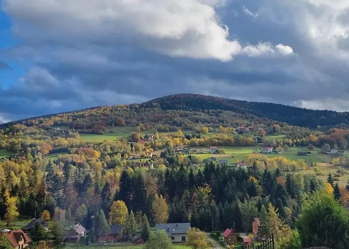 Level780 Holiday home Koszarawa